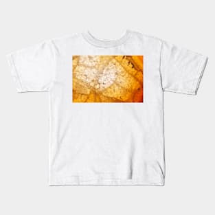 Yellow agate mineral super macro Kids T-Shirt